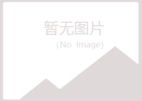 施甸县倾城能源有限公司